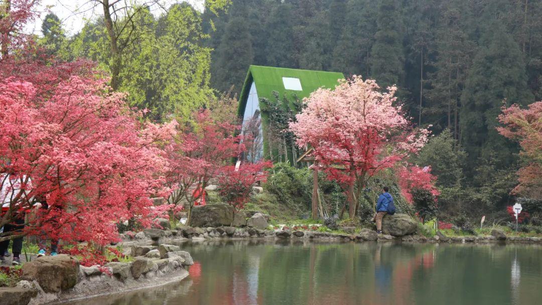 爱旅行的芭比